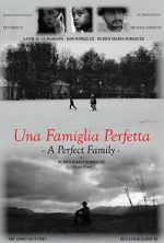 Watch A Perfect Family Movies123