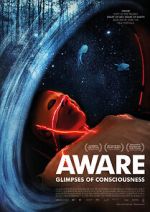 Watch Aware: Glimpses of Consciousness Movies123