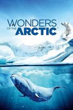 Watch Wonders of the Arctic Movies123