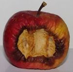 Watch Bad Apples (Short 2006) Movies123