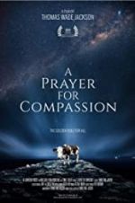 Watch A Prayer for Compassion Movies123
