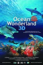 Watch Ocean Wonderland Movies123