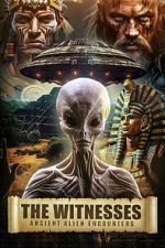 Watch The Witnesses: Ancient Alien Encounters Movies123