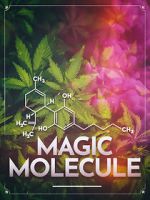 Watch Magic Molecule Movies123