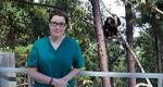 Watch Sue Perkins and the Chimp Sanctuary Movies123
