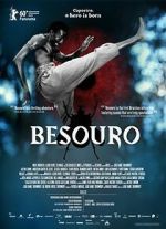 Watch The Assailant Movies123