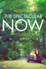 Watch The Spectacular Now Movies123