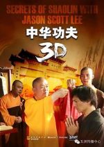 Watch Secrets of Shaolin with Jason Scott Lee Movies123