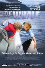Watch The Whale Movies123