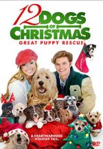 Watch 12 Dogs of Christmas: Great Puppy Rescue Movies123