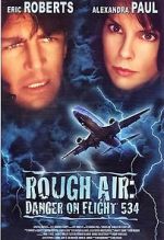 Watch Rough Air: Danger on Flight 534 Movies123