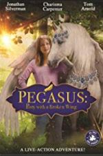 Watch Pony with a Broken Wing Movies123