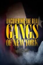 Watch Uncovering the Real Gangs of New York Movies123