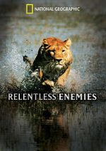 Watch Relentless Enemies Movies123