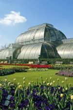 Watch Cruickshank on Kew: The Garden That Changed the World Movies123