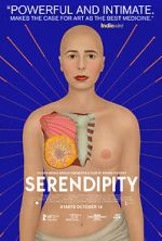 Watch Serendipity Movies123