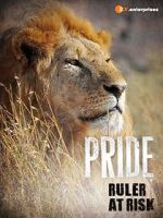 Watch Pride - Ruler\'s at Risk Movies123