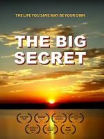 Watch The Big Secret Movies123