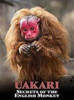 Watch Uakari: Secrets of the English Monkey Movies123