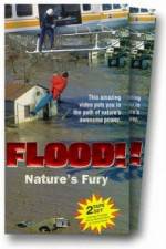 Watch Flood Movies123
