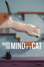 Watch Inside the Mind of a Cat Movies123