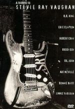 Watch A Tribute to Stevie Ray Vaughan Movies123