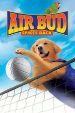 Watch Air Bud: Spikes Back Movies123