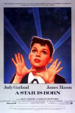 Watch A Star Is Born Movies123