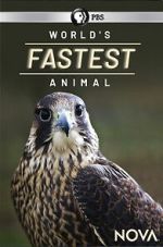 Watch World\'s Fastest Animal Movies123