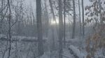 Watch Once There Was a Winter Movies123