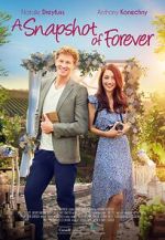 Watch A Snapshot of Forever Movies123