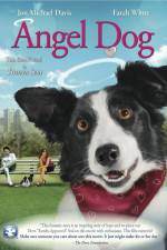 Watch Angel Dog Movies123