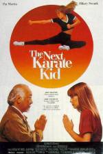 Watch The Next Karate Kid Movies123