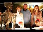 Watch Inside the Body of Henry VIII Movies123