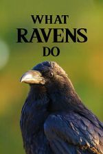 Watch What Ravens Do Movies123