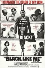 Watch Black Like Me Movies123