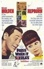 Watch Paris When It Sizzles Movies123