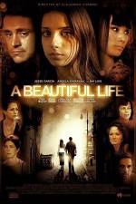 Watch A Beautiful Life Movies123