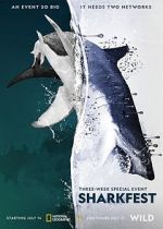 Watch Man vs. Shark Movies123