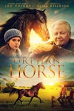 Watch Orphan Horse Movies123