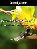 Watch Hummingbirds Jewelled Messengers Movies123