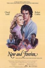 Watch Now and Forever Movies123
