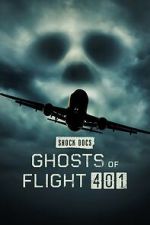 Watch Ghosts of Flight 401 Movies123