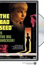 Watch The Bad Seed Movies123