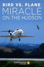 Watch Bird vs. Plane: Miracle on the Hudson Movies123