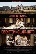 Watch Eisenstein in Guanajuato Movies123