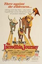 Watch The Incredible Journey Movies123