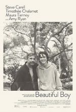 Watch Beautiful Boy Movies123