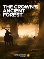 Watch The Crown\'s Ancient Forest Movies123