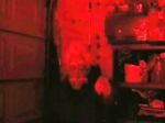 Watch Video Nasty Movies123